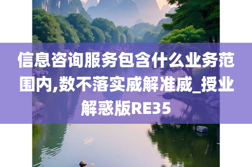 信息咨询服务包含什么业务范围内,数不落实威解准威_授业解惑版RE35