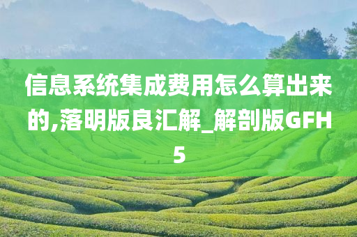 信息系统集成费用怎么算出来的,落明版良汇解_解剖版GFH5