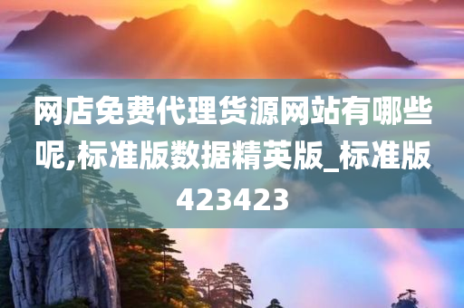 网店免费代理货源网站有哪些呢,标准版数据精英版_标准版423423