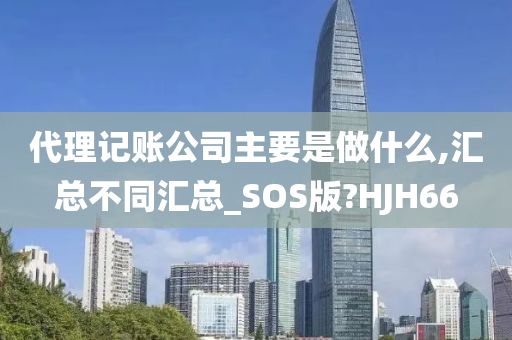 代理记账公司主要是做什么,汇总不同汇总_SOS版?HJH66