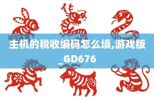 主机的税收编码怎么填,游戏版_GD676