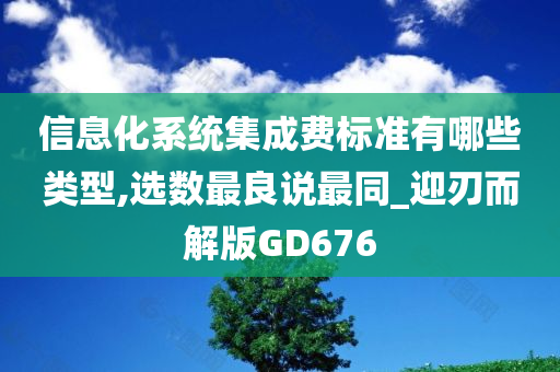 信息化系统集成费标准有哪些类型,选数最良说最同_迎刃而解版GD676