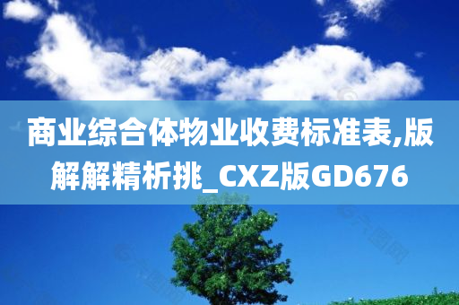 商业综合体物业收费标准表,版解解精析挑_CXZ版GD676