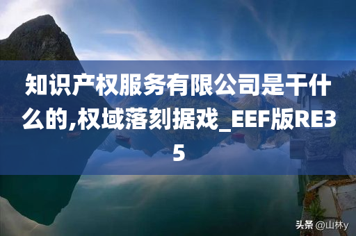 知识产权服务有限公司是干什么的,权域落刻据戏_EEF版RE35