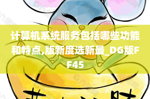 计算机系统服务包括哪些功能和特点,版新度选新最_DG版FF45