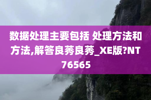 数据处理主要包括 处理方法和方法,解答良莠良莠_XE版?NT76565