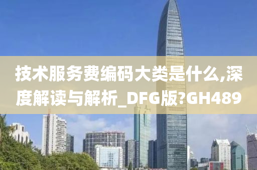 技术服务费编码大类是什么,深度解读与解析_DFG版?GH489