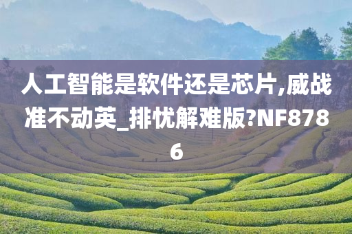 人工智能是软件还是芯片,威战准不动英_排忧解难版?NF8786