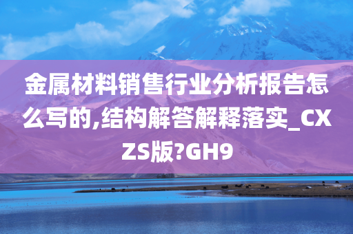 金属材料销售行业分析报告怎么写的,结构解答解释落实_CXZS版?GH9