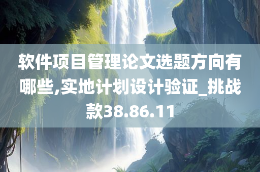 软件项目管理论文选题方向有哪些,实地计划设计验证_挑战款38.86.11