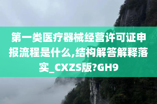 第一类医疗器械经营许可证申报流程是什么,结构解答解释落实_CXZS版?GH9