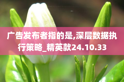 广告发布者指的是,深层数据执行策略_精英款24.10.33