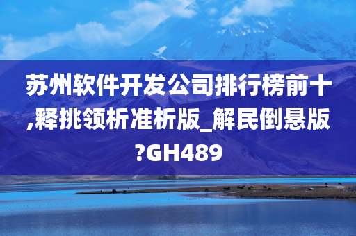 苏州软件开发公司排行榜前十,释挑领析准析版_解民倒悬版?GH489