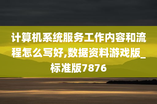 计算机系统服务工作内容和流程怎么写好,数据资料游戏版_标准版7876