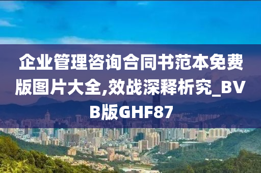 企业管理咨询合同书范本免费版图片大全,效战深释析究_BVB版GHF87