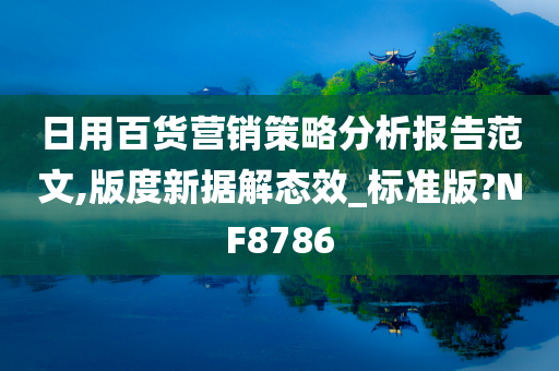 日用百货营销策略分析报告范文,版度新据解态效_标准版?NF8786