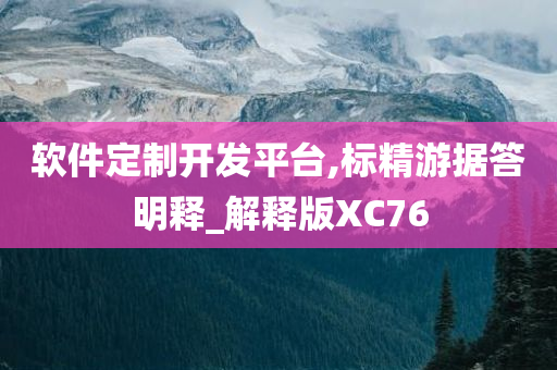 软件定制开发平台,标精游据答明释_解释版XC76