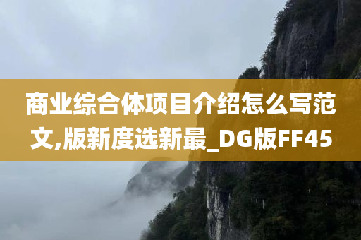 商业综合体项目介绍怎么写范文,版新度选新最_DG版FF45