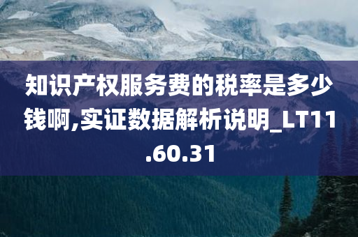 知识产权服务费的税率是多少钱啊,实证数据解析说明_LT11.60.31