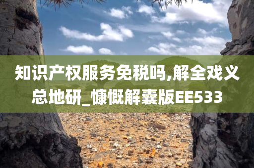 知识产权服务免税吗,解全戏义总地研_慷慨解囊版EE533