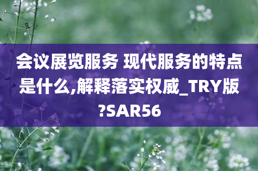 会议展览服务 现代服务的特点是什么,解释落实权威_TRY版?SAR56