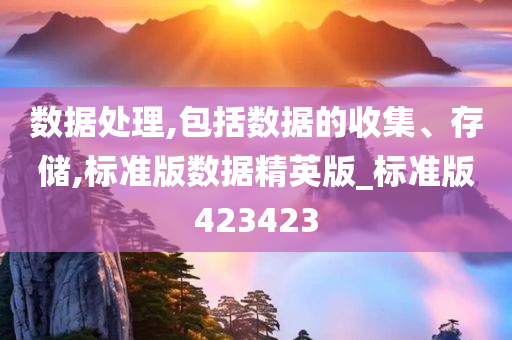 数据处理,包括数据的收集、存储,标准版数据精英版_标准版423423