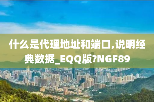 什么是代理地址和端口,说明经典数据_EQQ版?NGF89